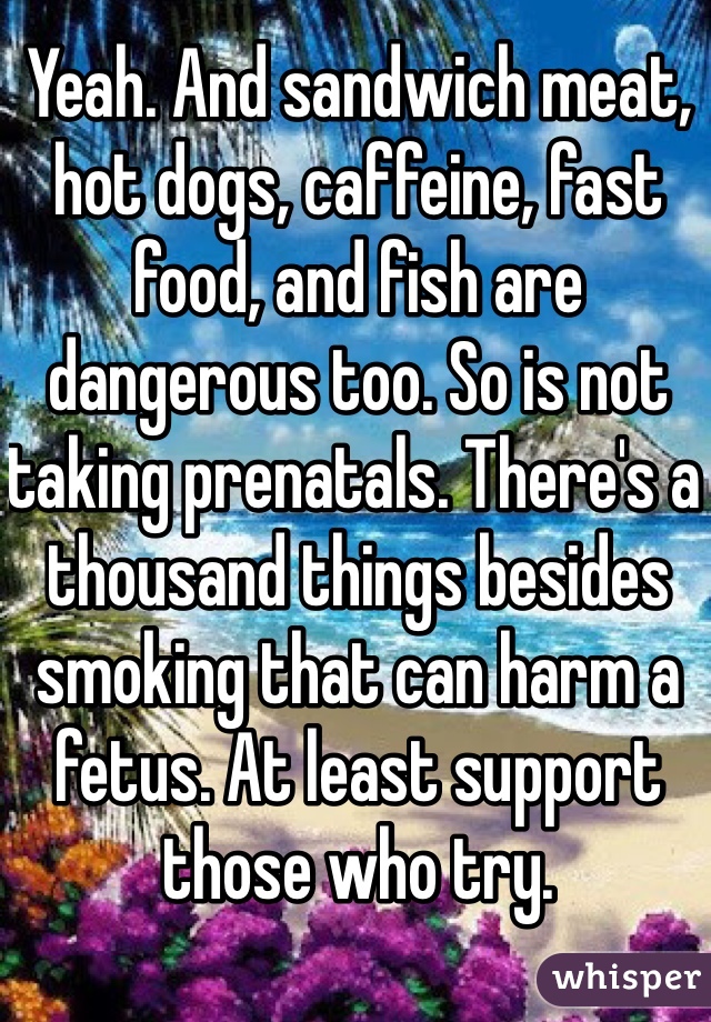 Yeah. And sandwich meat, hot dogs, caffeine, fast food, and fish are dangerous too. So is not taking prenatals. There's a thousand things besides smoking that can harm a fetus. At least support those who try. 