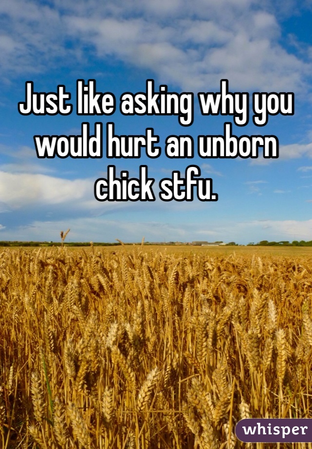 Just like asking why you would hurt an unborn chick stfu.