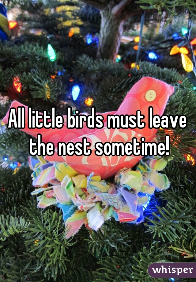 All little birds must leave the nest sometime!