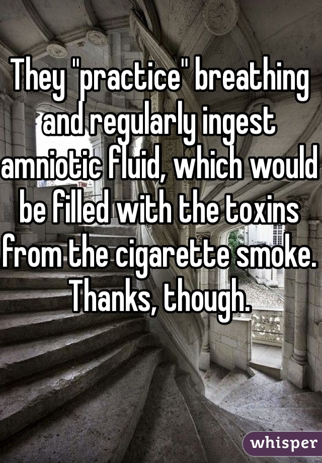 They "practice" breathing and regularly ingest amniotic fluid, which would be filled with the toxins from the cigarette smoke. Thanks, though. 