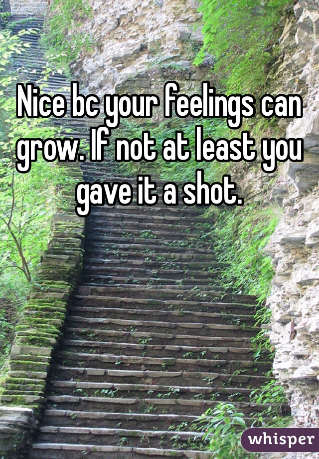 Nice bc your feelings can grow. If not at least you gave it a shot.