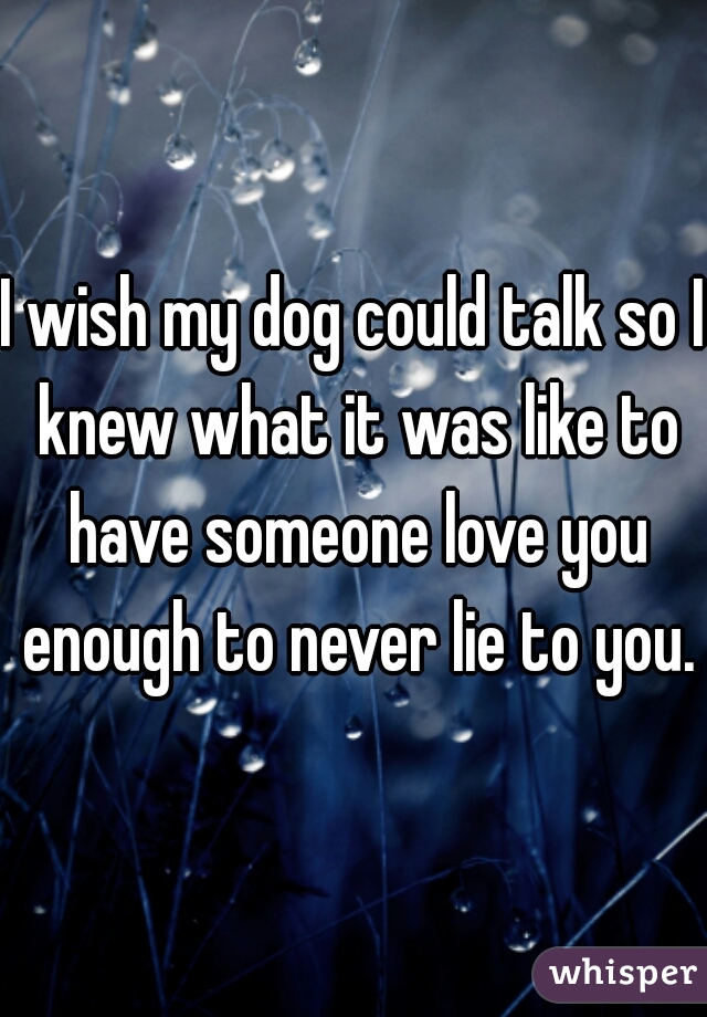 I wish my dog could talk so I knew what it was like to have someone love you enough to never lie to you.