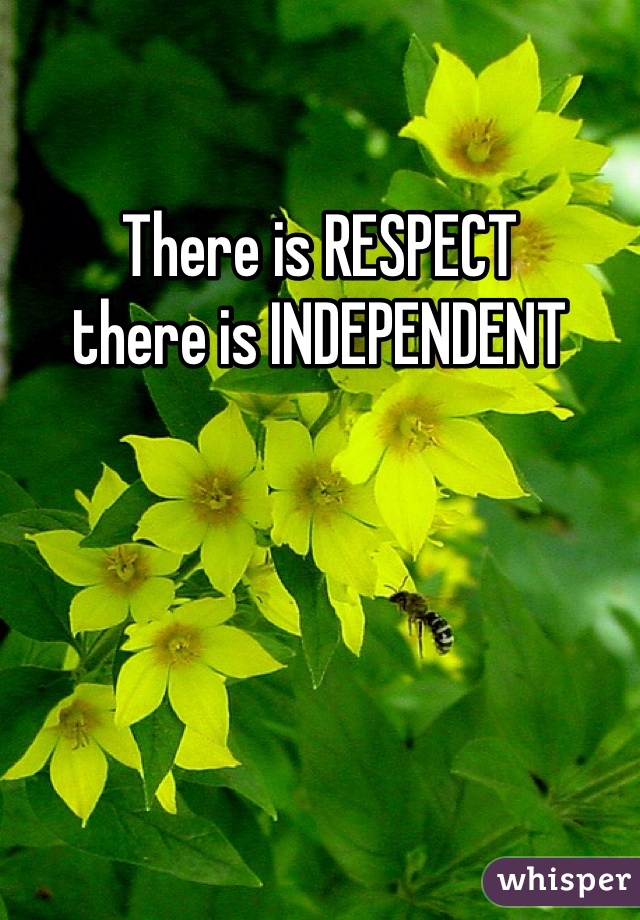 There is RESPECT 
there is INDEPENDENT 