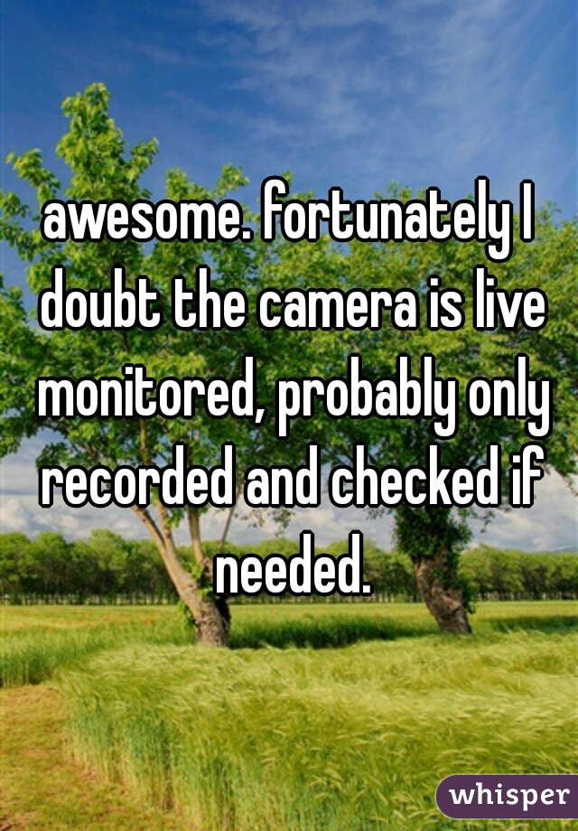 awesome. fortunately I doubt the camera is live monitored, probably only recorded and checked if needed.