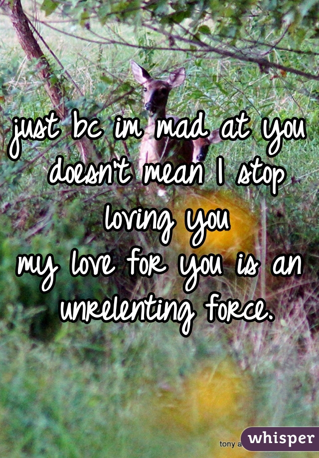 just bc im mad at you doesn't mean I stop loving you

my love for you is an unrelenting force.