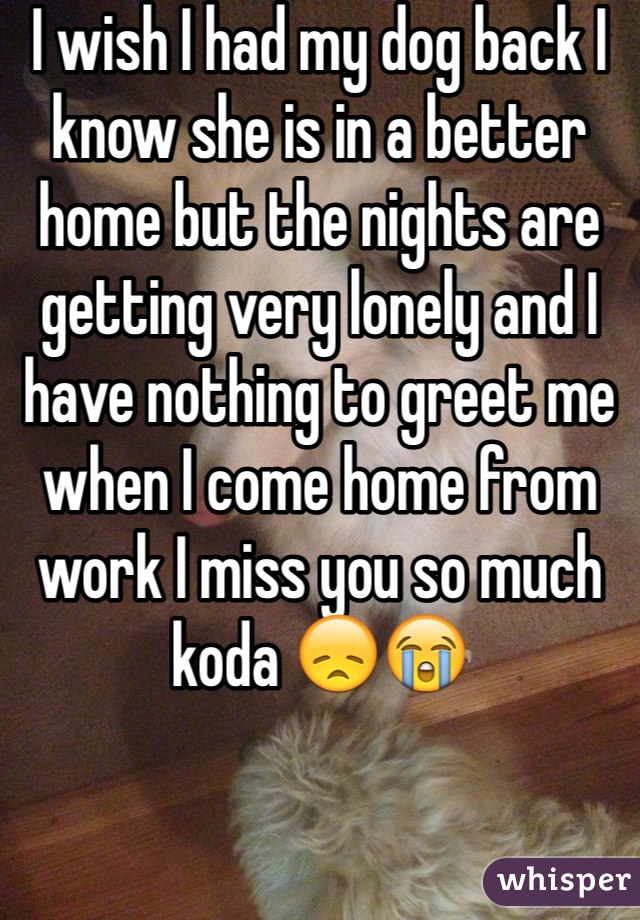 I wish I had my dog back I know she is in a better home but the nights are getting very lonely and I have nothing to greet me when I come home from work I miss you so much koda 😞😭