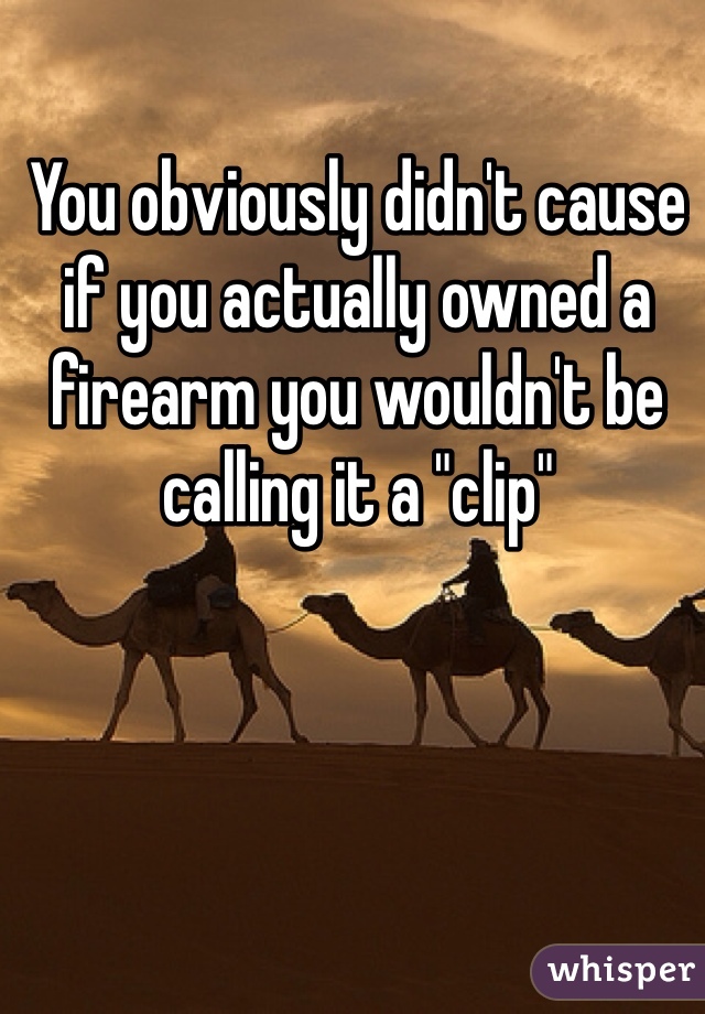 You obviously didn't cause if you actually owned a firearm you wouldn't be calling it a "clip"