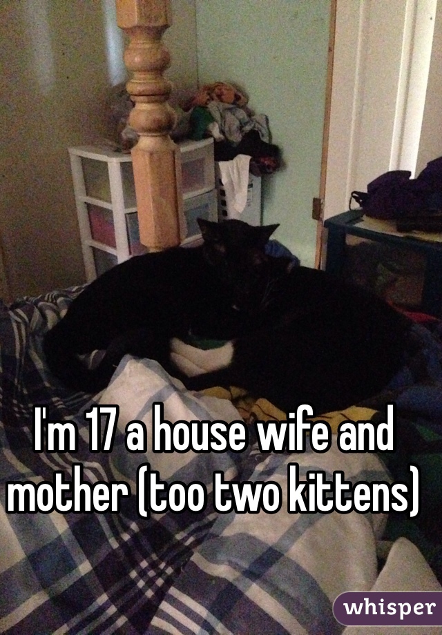 I'm 17 a house wife and mother (too two kittens)