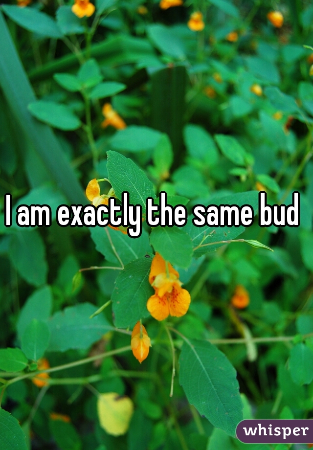 I am exactly the same bud 