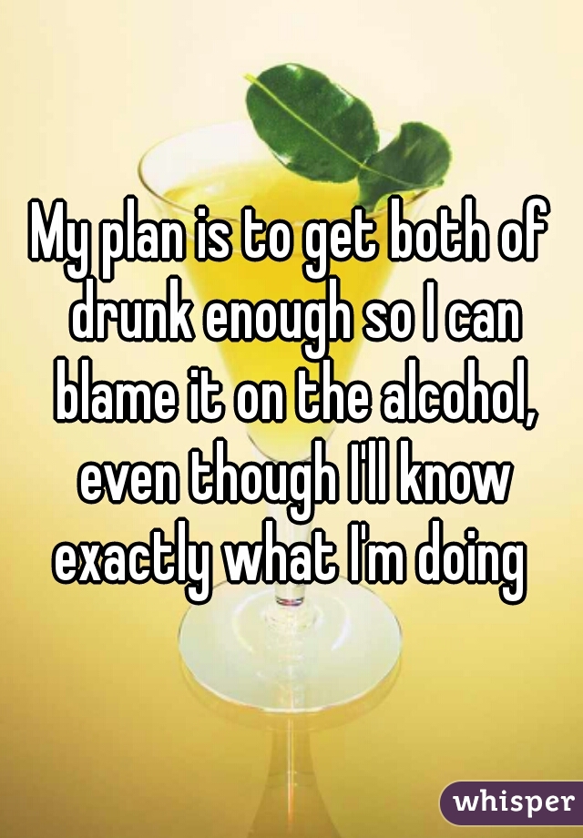 My plan is to get both of drunk enough so I can blame it on the alcohol, even though I'll know exactly what I'm doing 
