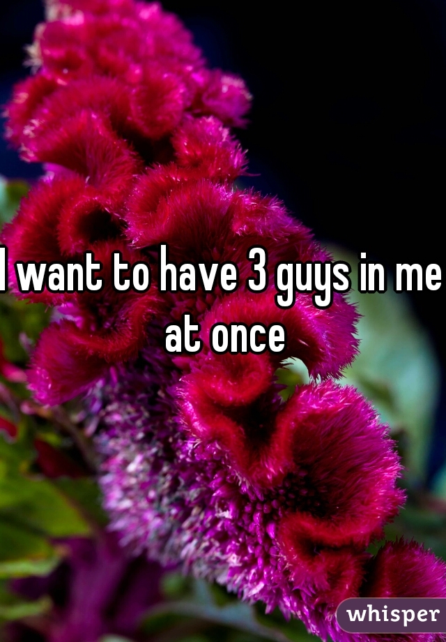 I want to have 3 guys in me at once