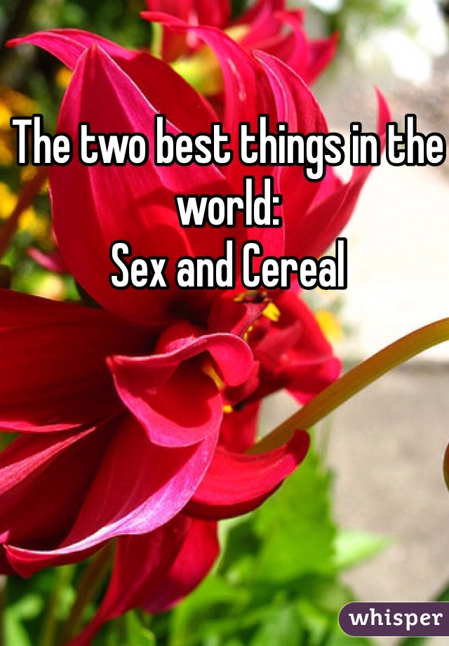 The two best things in the world:
Sex and Cereal 