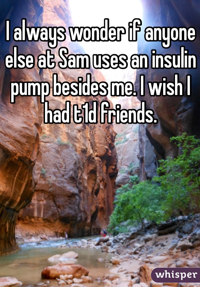 I always wonder if anyone else at Sam uses an insulin pump besides me. I wish I had t1d friends. 