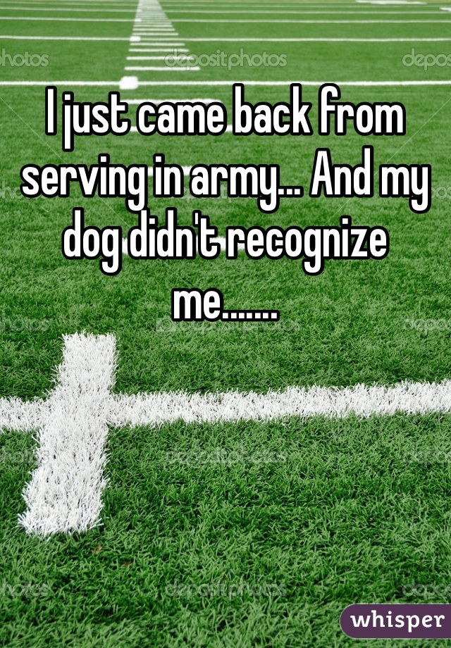 I just came back from serving in army... And my dog didn't recognize me.......