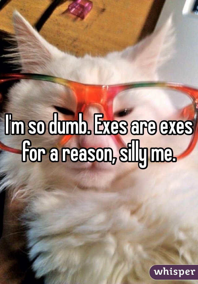 I'm so dumb. Exes are exes for a reason, silly me.