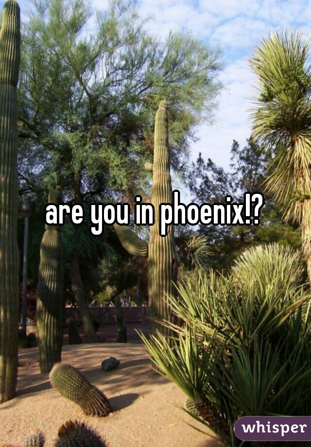 are you in phoenix!?