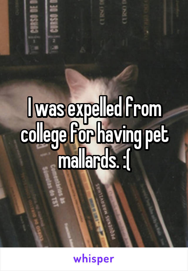 I was expelled from college for having pet mallards. :(