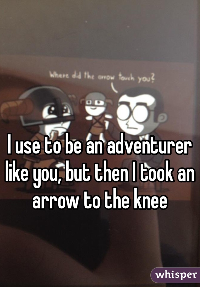 I use to be an adventurer like you, but then I took an arrow to the knee