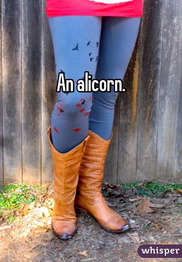 An alicorn.