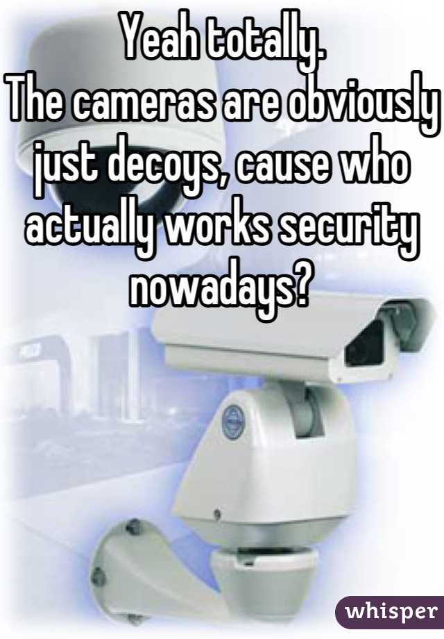 Yeah totally.
The cameras are obviously just decoys, cause who actually works security nowadays?