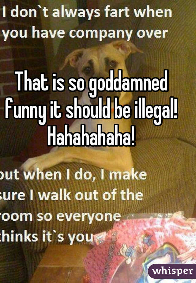 That is so goddamned funny it should be illegal! Hahahahaha!