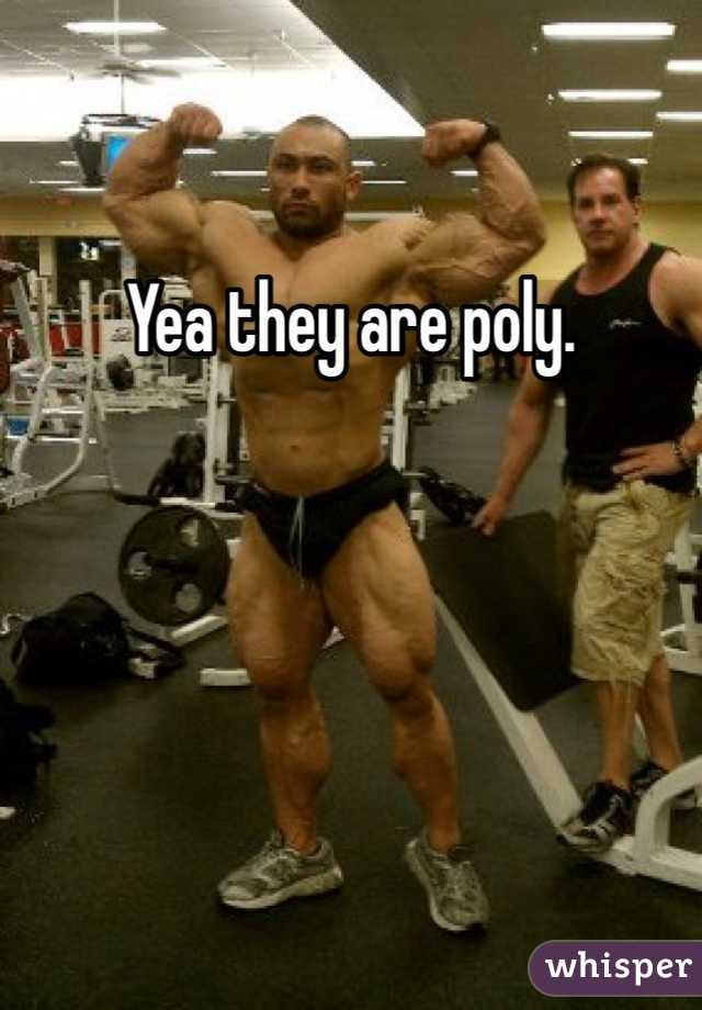 Yea they are poly. 