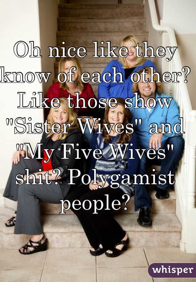 Oh nice like they know of each other? Like those show "Sister Wives" and "My Five Wives" shit? Polygamist people?  