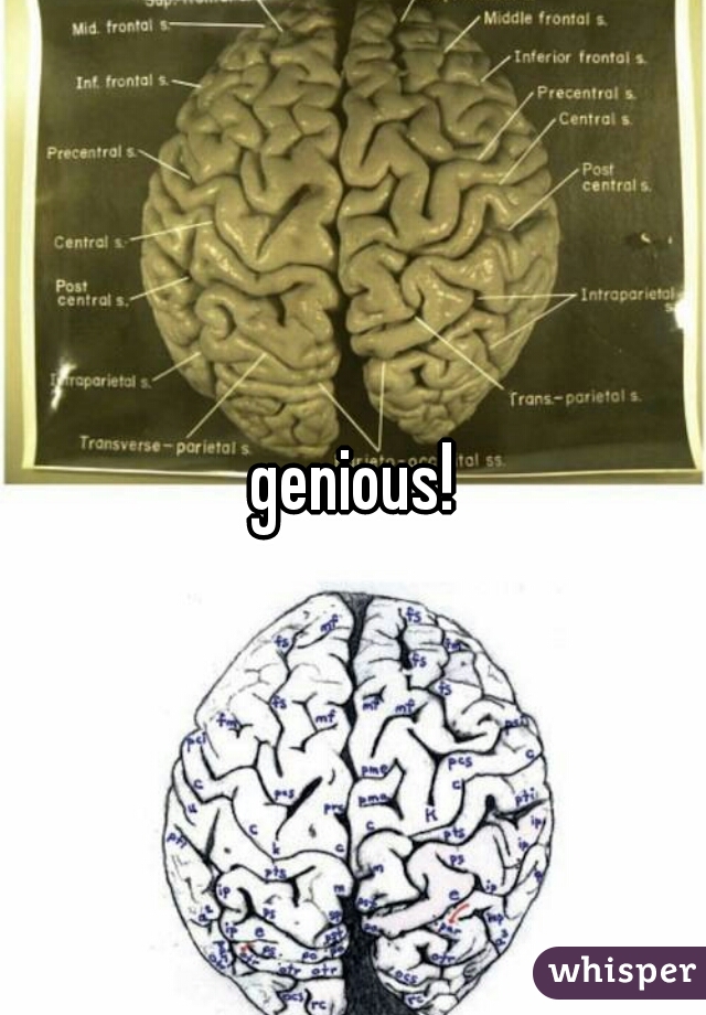 genious!