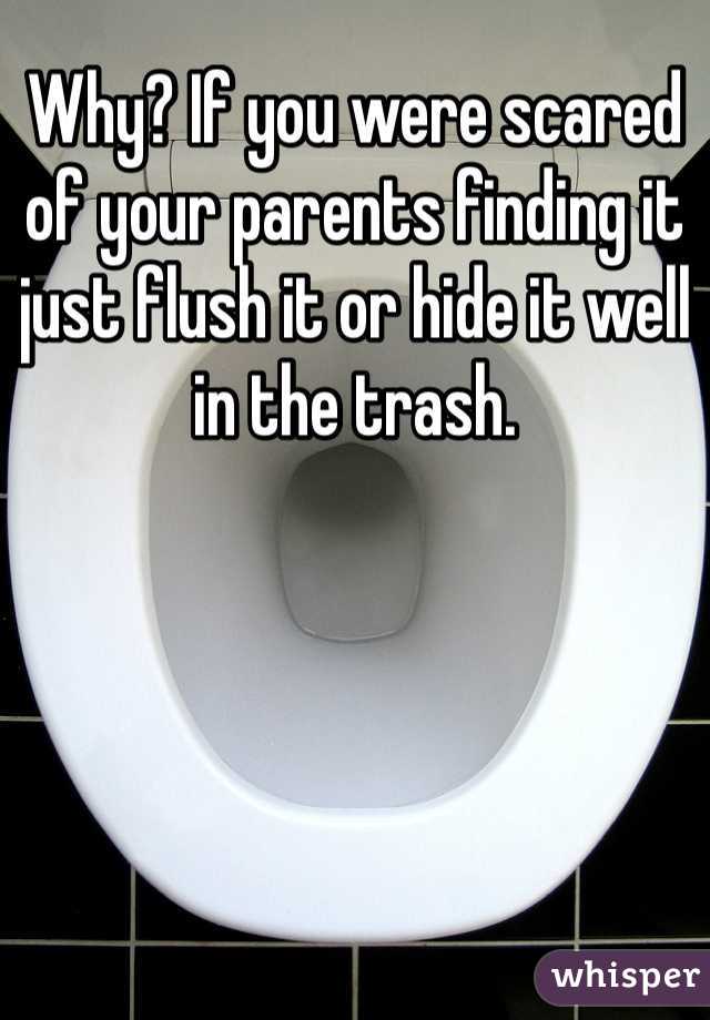 Why? If you were scared of your parents finding it just flush it or hide it well in the trash.