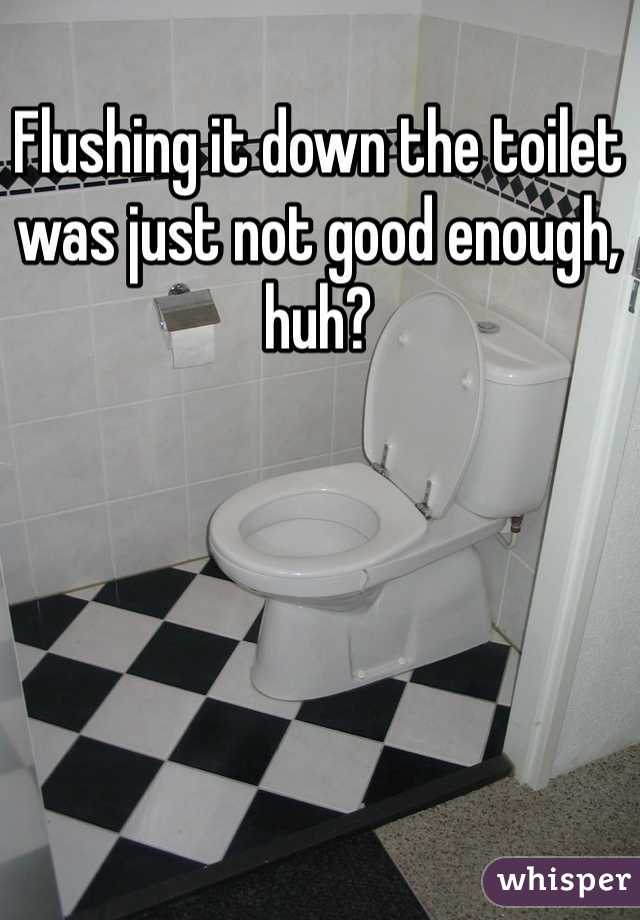 Flushing it down the toilet was just not good enough, huh? 