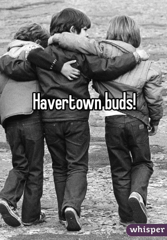 Havertown buds!