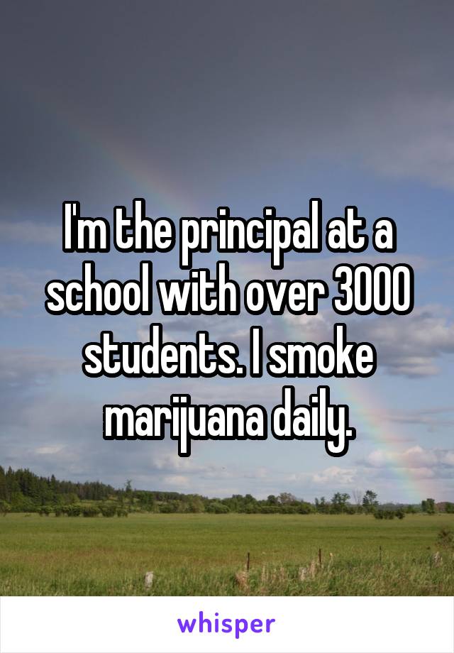 I'm the principal at a school with over 3000 students. I smoke marijuana daily.
