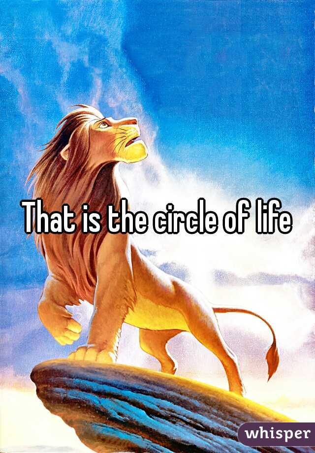 That is the circle of life