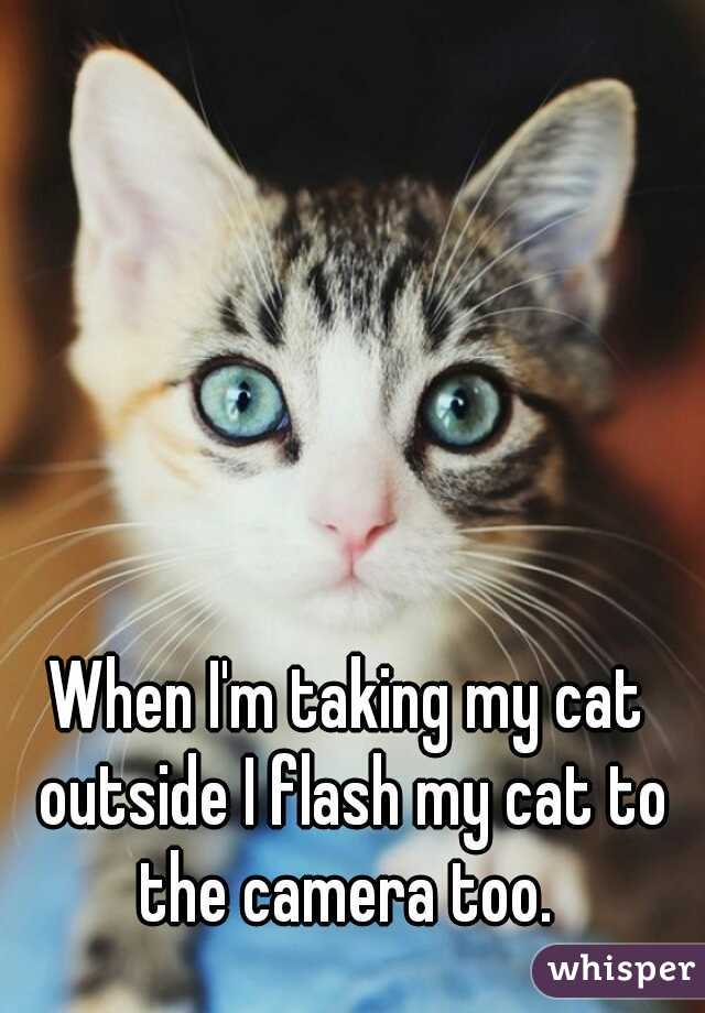 When I'm taking my cat outside I flash my cat to the camera too. 