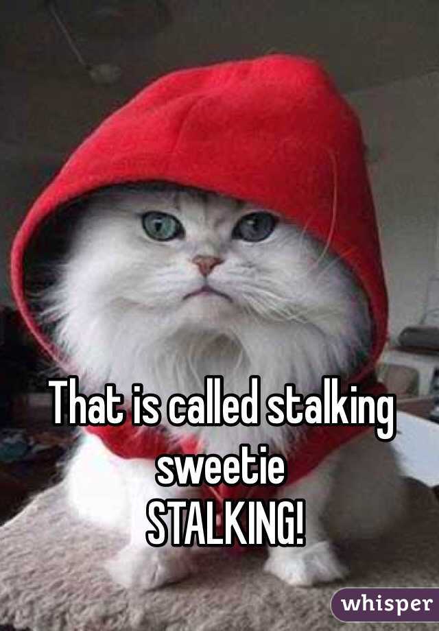 That is called stalking sweetie
 STALKING!