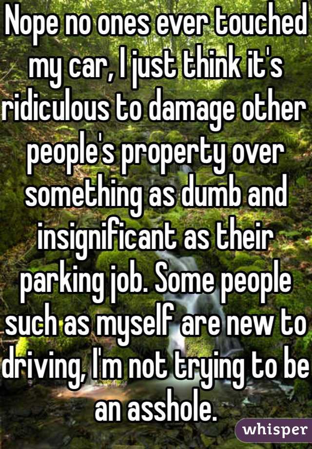 Nope no ones ever touched my car, I just think it's ridiculous to damage other people's property over something as dumb and insignificant as their parking job. Some people such as myself are new to driving, I'm not trying to be an asshole. 