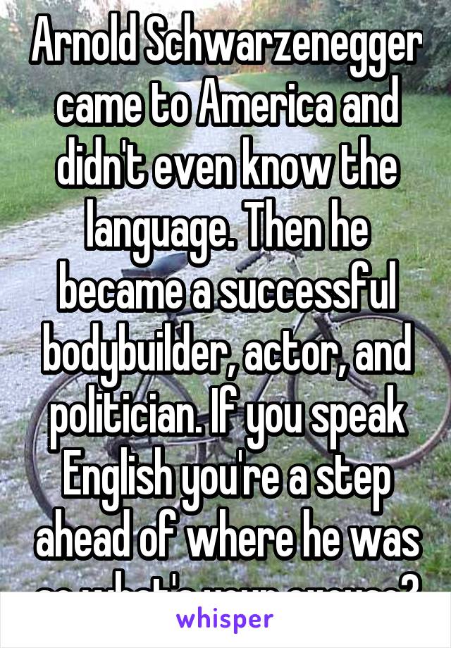 Arnold Schwarzenegger came to America and didn't even know the language. Then he became a successful bodybuilder, actor, and politician. If you speak English you're a step ahead of where he was so what's your excuse?