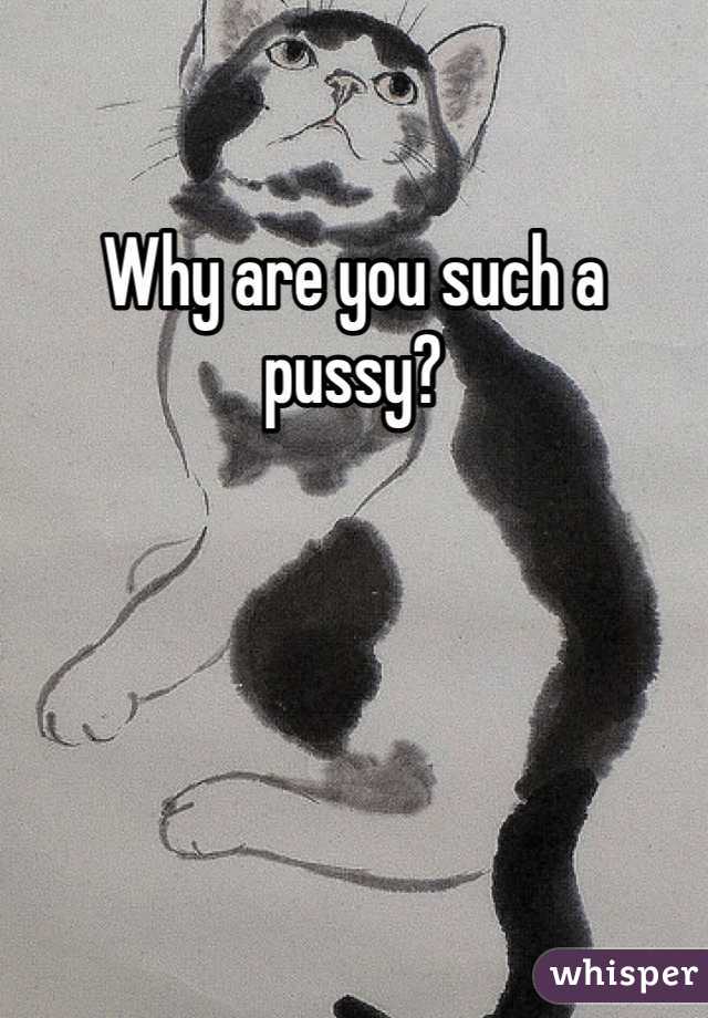 Why are you such a pussy?