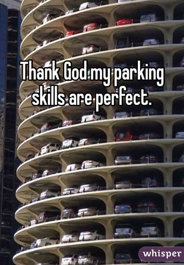 Thank God my parking skills are perfect.