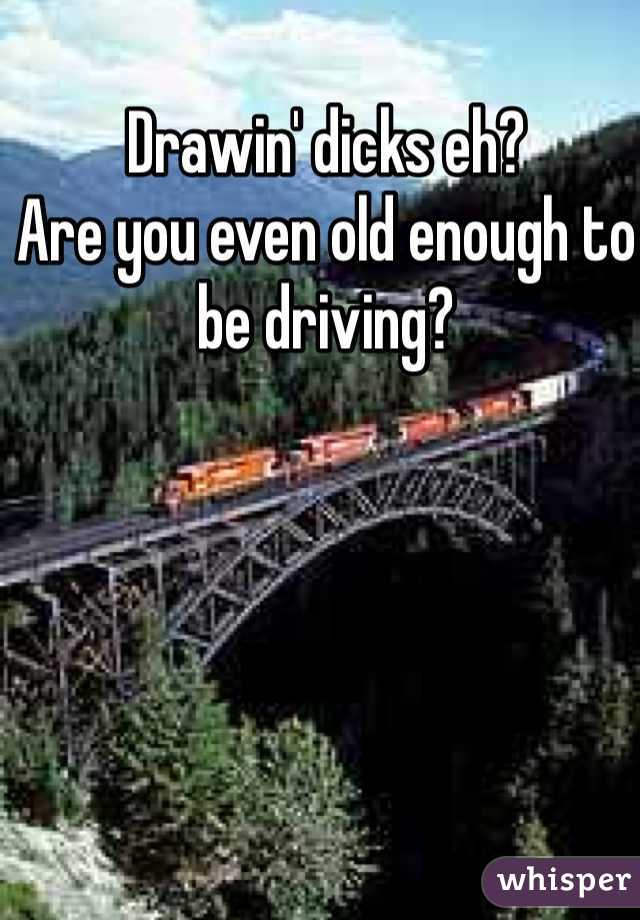 Drawin' dicks eh?
Are you even old enough to be driving?