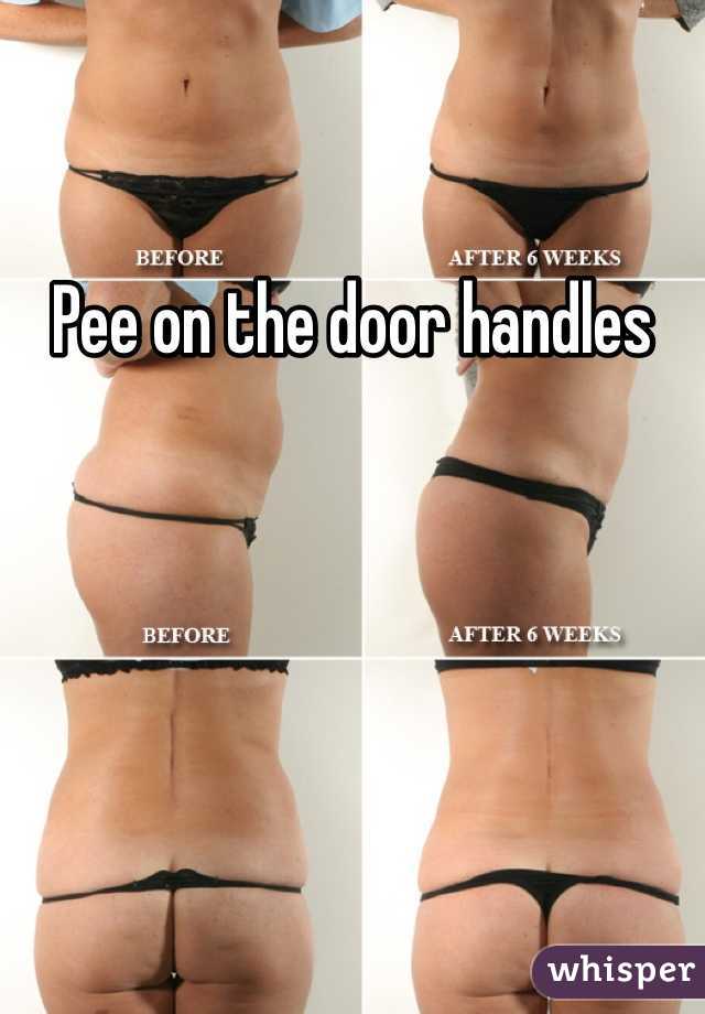 Pee on the door handles