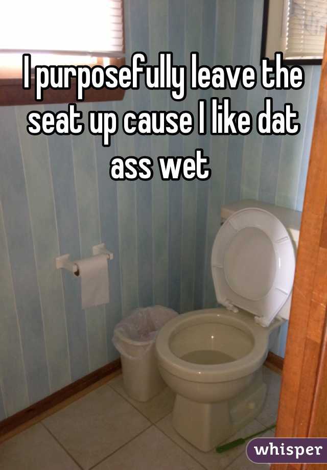 I purposefully leave the seat up cause I like dat ass wet 