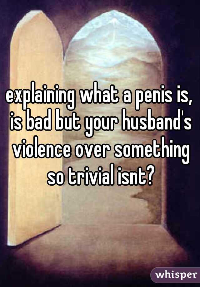 explaining what a penis is, is bad but your husband's violence over something so trivial isnt?