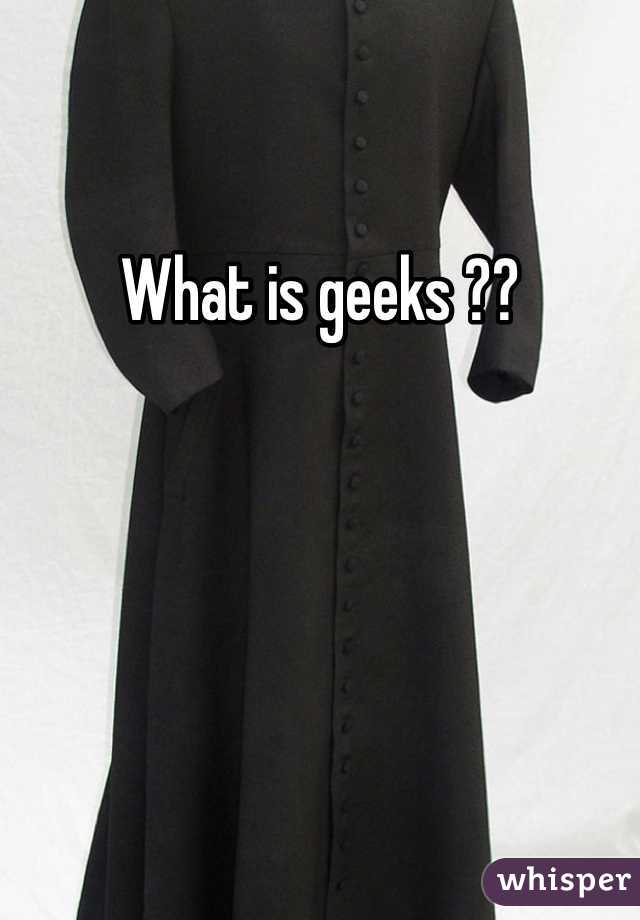 What is geeks ??