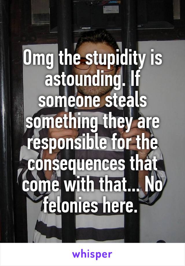 Omg the stupidity is astounding. If someone steals something they are responsible for the consequences that come with that... No felonies here. 