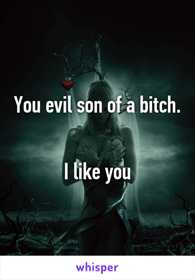 You evil son of a bitch.


I like you