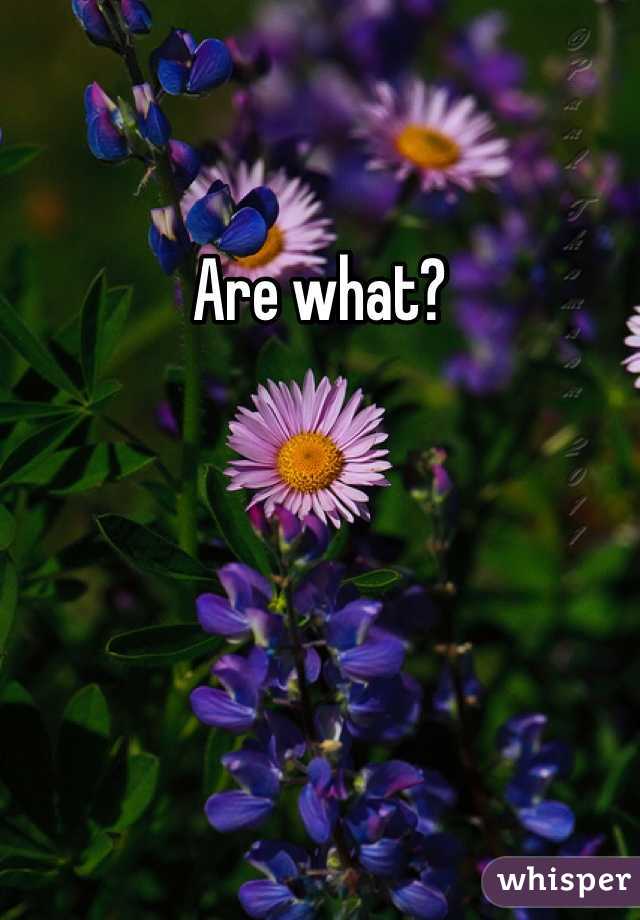 Are what?