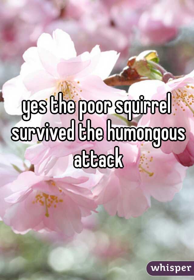 yes the poor squirrel survived the humongous attack