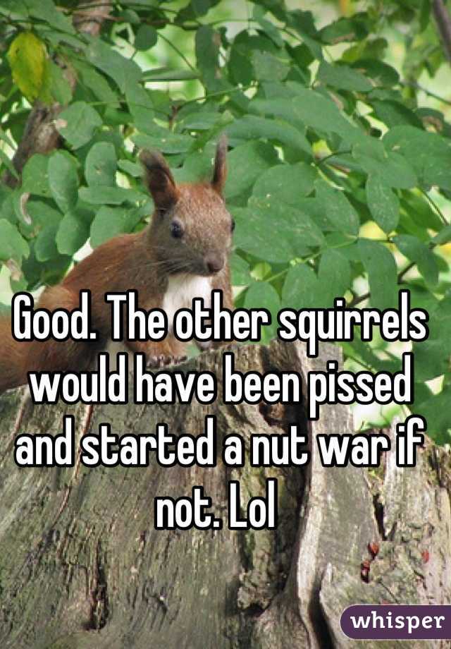 Good. The other squirrels would have been pissed and started a nut war if not. Lol 