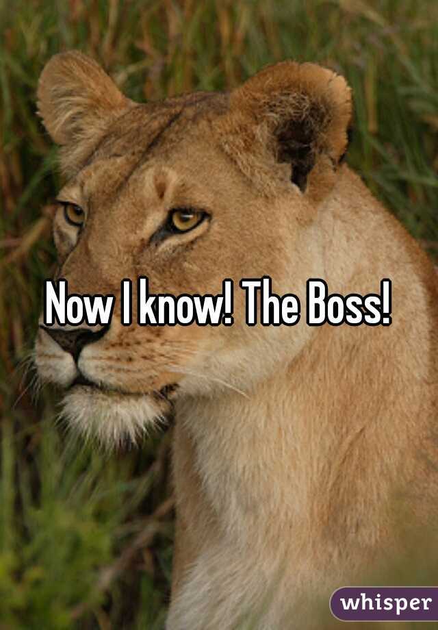 Now I know! The Boss!